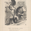 The Lancashire lions