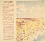 Okovango, desert river.