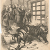 Ay, there's the rub!' 'Take off those stripes, and it will look like a lamb.' [from Harper's Weekly, November 1875]