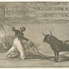 Origen de los arpones ó banderillas.
