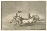 Un caballero español mata un toro despues de haber perdido el caballo.