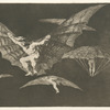 Modo de volar.