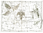 Hercules Cerberus et Ramus, Vultur et Lyra, Cygnus, Sagitta, Vulpecula et Anser.