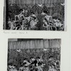 Wayang Beber