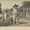 Islanders of Sir James Hall's Group