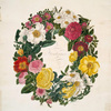 A collection of roses from nature, [Frontispiece]
