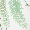 A. Polypodium vulgare semilacerum. B. P. vulgare serratum. [The common polypody]
