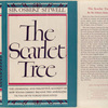 The scarlet tree.