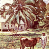 A Liberian homestead