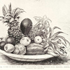 A dish of fruit from Liberia - pineapples, papaw, avocado pear, mangoes, orange, coconuts, and bananas