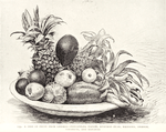 A dish of fruit from Liberia - pineapples, papaw, avocado pear, mangoes, orange, coconuts, and bananas