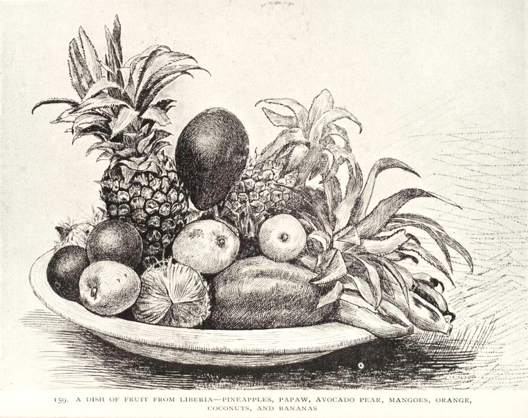 Fruit