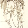 Listrostachys caudata, an epiphytic orchid of Westren Africa (1/3 nat. size)