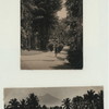 Java - People, landscape