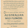 Sowerboea juncea (Corn flower).