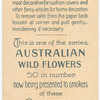 Prostanthera lasianthus (Native Lilac).