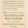 Helichrysum semipaposum [semipapposum](Everlastings).