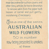 Actinotus, helianthi & minor (Flanel Flower-large & small).