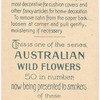 Boronia megastigma (Sweet scented Boronia).