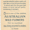Melaleuca ericifolia (Heath-leaved Tea Tree).