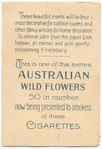 Eucalyptus corymbosa (Bloodwood).