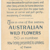 Callicoma serratifolium [serratifolia](Saw-leaved Callicoma).