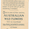 Callistemon lanceolatus (Crimson Bottle Brush).