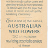 Tecama [tecoma] australis (Wonga Wonga Vine).