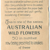 Ceratapetalum gumiferum [Ceratopetalum gummiferum], (Christmas Bush).