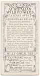 Christmas Bells (Blanfordia flammea).