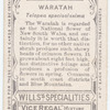 Waratah (Telopea speciosissima).