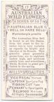 Australian Blue Bell, or Hare Bell (Wahlenbergia gracilis).