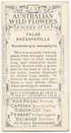False Sarsaparilla (Hardenbergia monophylla).