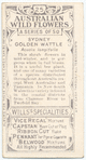 Sydney Golden Wattle (Acacia longifolia).