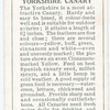Yorkshire Canary.