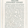 Yellow Cinnamon Canary.