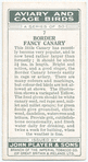 Border Fancy Canary.