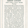 Green Canary.