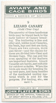 Lizard Canary.