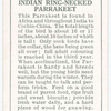 Indian Ring-necked Parrakeet.