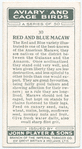 Red and Blue Macaw.