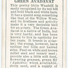 Green Avadavat.