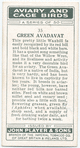 Green Avadavat.