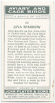 Java Sparrow.