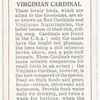 Virginian Cardinal.