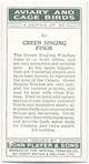 Green Singing FInch.