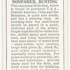 Nonpareil Bunting.