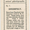 Spearfelt. Trainer V. O'Neill.