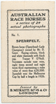Spearfelt. Trainer V. O'Neill.