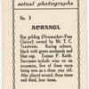 Aorangi. Trainer P. Keith.